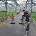 Techniques d'excavation et de nivellement pour l'installation d'allées en béton
